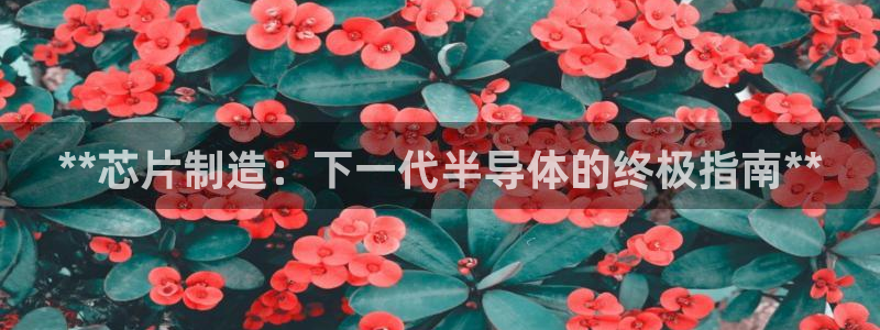 彩神viii是正规平台吗?：**芯片制造：下一代半导体的终极指南**