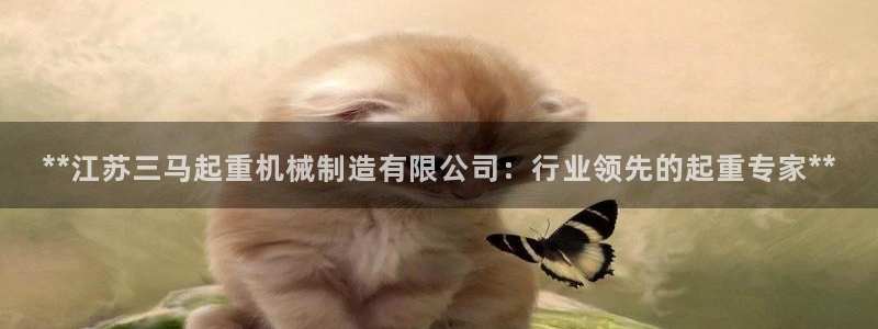 天天赢彩神：**江苏三马起重机械制造有限公司：行业领先的起重