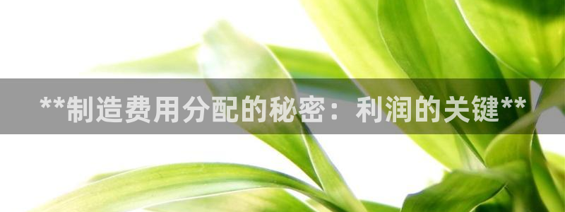 彩神购彩-购彩大厅入口计划群：**制造费用分配的秘密：利润的关键**
