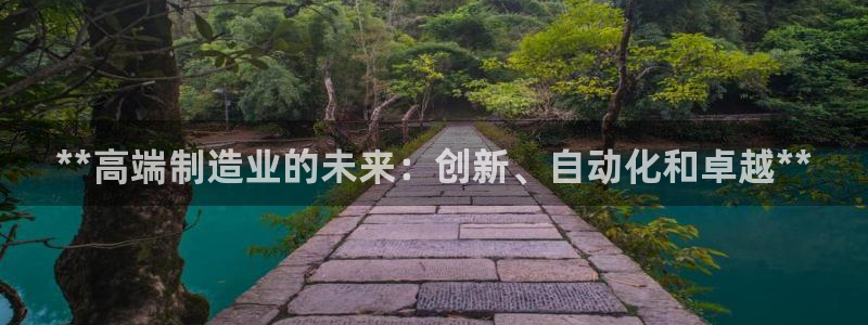 彩神争霸官方登录：**高端制造业的未来：创新、自动化和卓越**