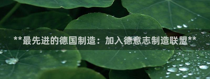 彩神ix官网是哪个公司的