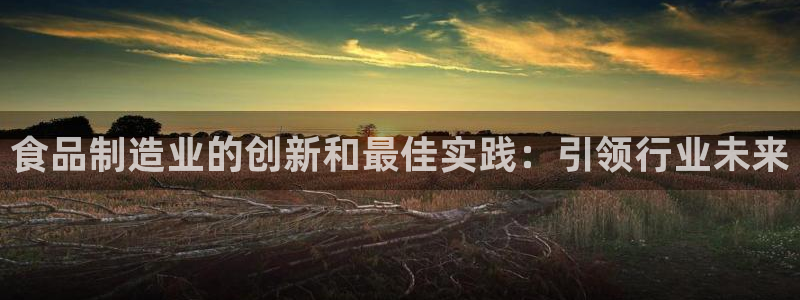 彩神v8首页：食品制造业的创新和最佳实践：引领行业未来