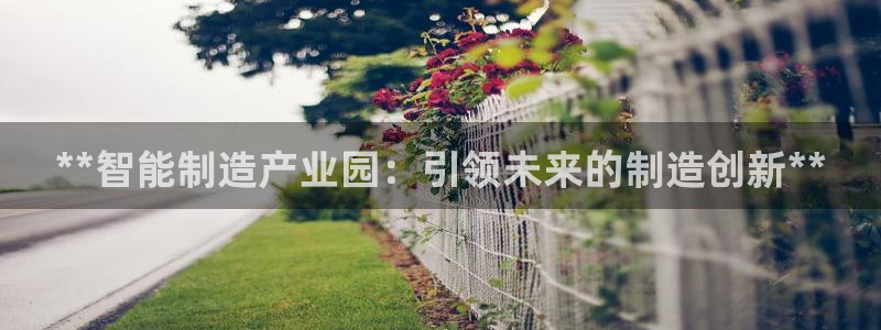 彩神v8app：**智能制造产业园：引领未来的制造创新**