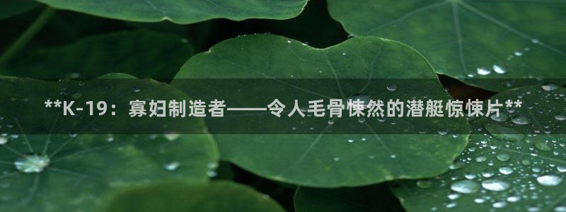 彩神vlll(中国)百度百科：**K-19：寡妇制造者——令人毛骨悚然的潜艇惊悚片**