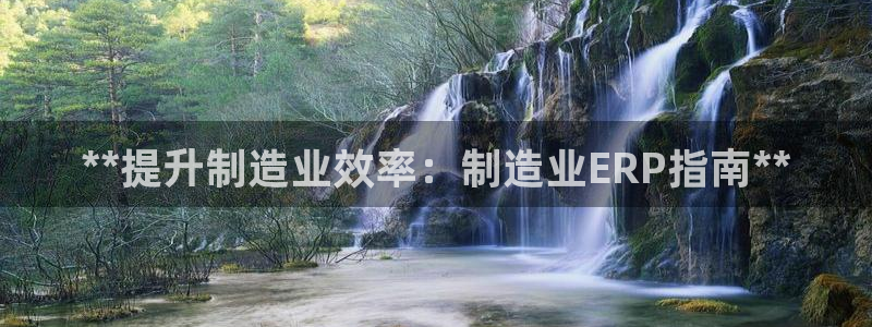 下载彩神乐发V1：**提升制造业效率：制造业ERP指南**