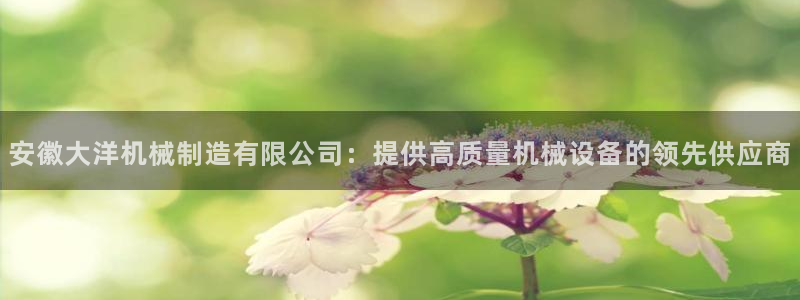彩神网能赚钱是怎么回事：安徽大洋机械制造有限公司：提供高质量机械设备的领先供应商