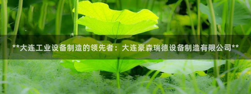 下载彩神通关注码：**大连工业设备制造的领先者：大连豪森瑞德