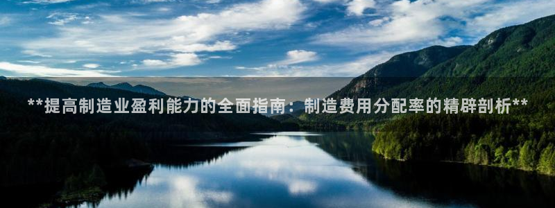 彩神是怎样一个平台：**提高制造业盈利能力的全面指南：制造费