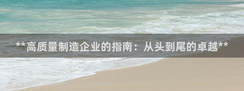 彩神官方登录：**高质量制造企业的指南：从头到尾的卓越**