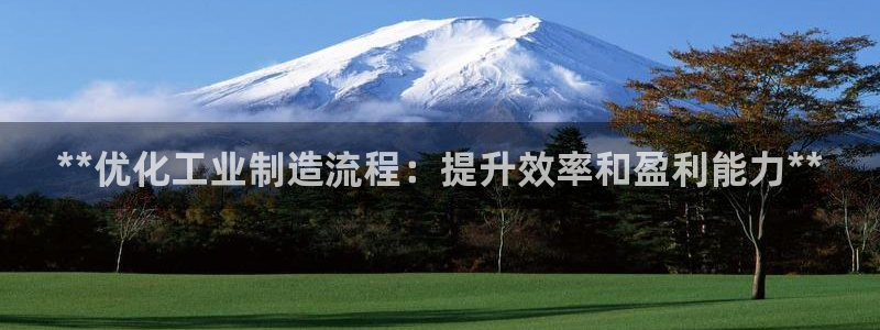 彩神赢钱了吗是真的吗：**优化工业制造流程：提升效率和盈利能力**