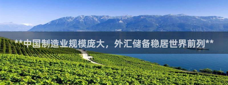 彩神v8平台正规吗安全吗：**中国制造业规模庞大，外汇储备稳