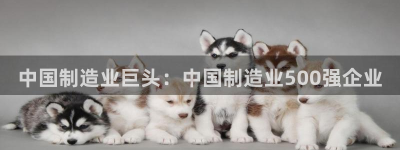 彩神v1官网：中国制造业巨头：中国制造业500强企业