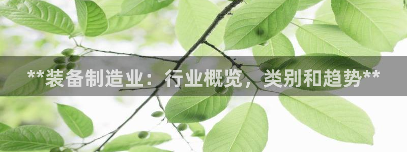 彩神Vll购彩大厅