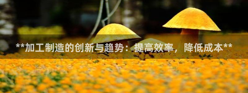 彩神v|：**加工制造的创新与趋势：提高效率，降低成本**