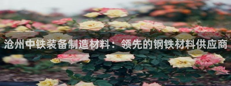 彩神用户登录：沧州中铁装备制造材料：领先的钢铁材料供应商
