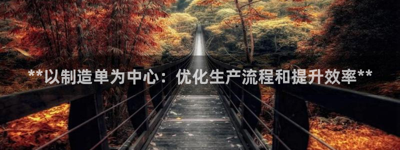 彩神ios下载：**以制造单为中心：优化生产流程和提升效率*