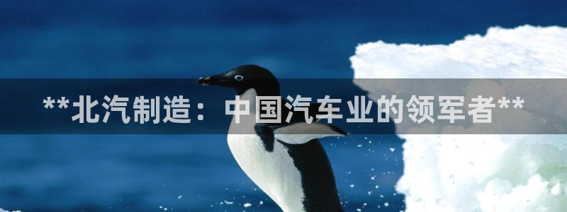 彩神是怎样一个平台