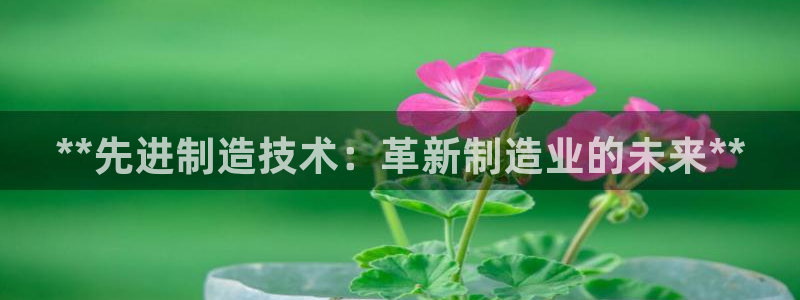 彩神vlll官方网：**先进制造技术：革新制造业的未来**