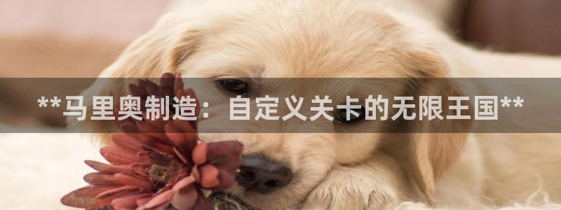下载彩神v8：**马里奥制造：自定义关卡的无限王国**
