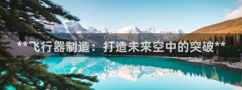 彩神购彩购彩大厅入口v：**飞行器制造：打造未来空中的突破**