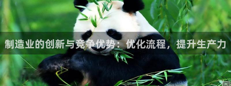 彩神Vii购彩-购彩大厅：制造业的创新与竞争优势：优化流程，提升生产力