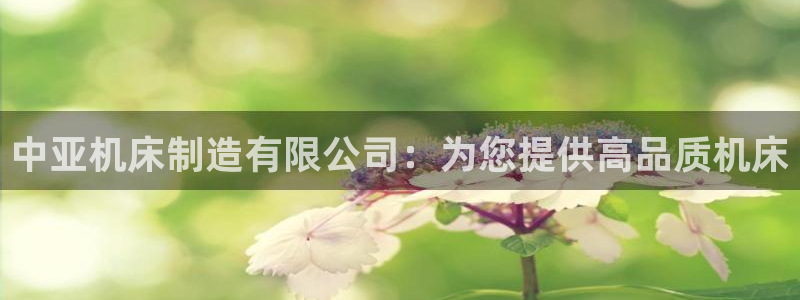 彩神8官网500
