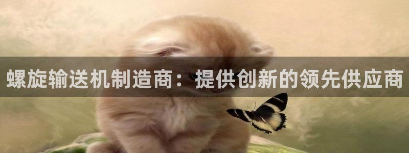 彩神vii官网大赢家：螺旋输送机制造商：提供创新的领先供应商