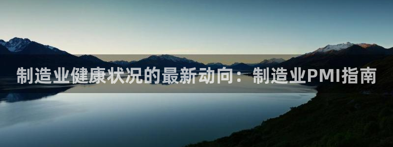 彩神网可以赚钱是真的吗：制造业健康状况的最新动向：制造业PMI指南