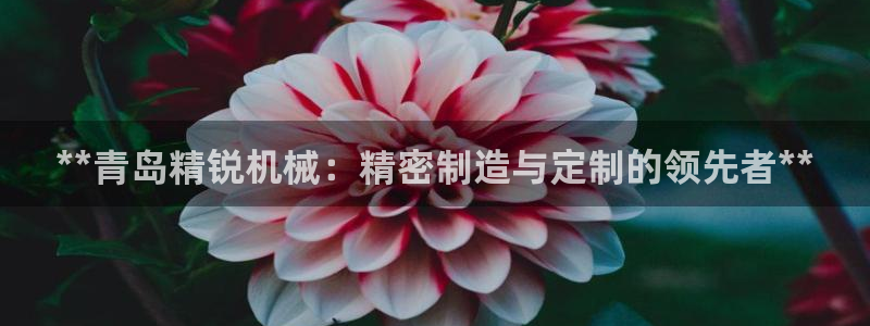 彩神数码科技有限公司：**青岛精锐机械：精密制造与定制的领先者**