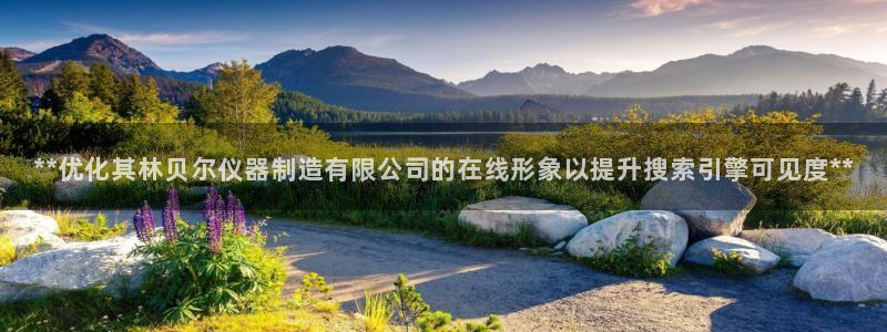 彩神购彩-购彩大厅入口娱乐首选：**优化其林贝尔仪器制造有限公司的在线形象以提升搜索引擎可见度**
