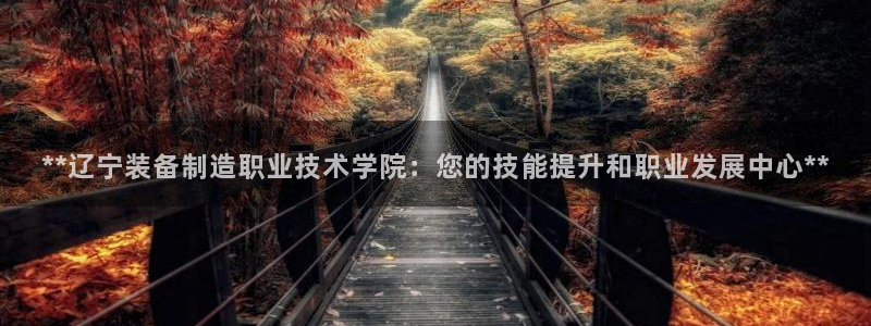 彩神velcome购彩大厅：**辽宁装备制造职业技术学院：您的技能提升和职业发展中心**