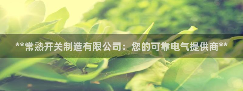 彩神争霸官方登录：**常熟开关制造有限公司：您的可靠电气提供商**