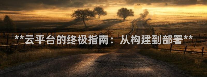 彩神赢钱了吗是真的吗：**云平台的终极指南：从构建到部署**