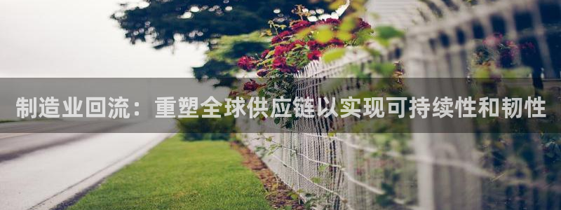 彩神网正规吗：制造业回流：重塑全球供应链以实现可持续性和韧性