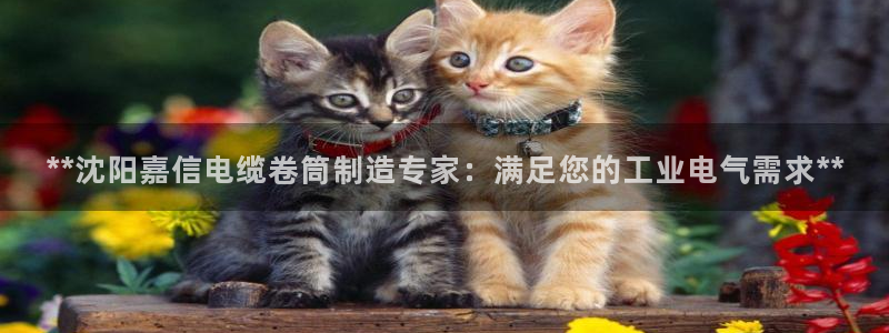 彩神V官网：**沈阳嘉信电缆卷筒制造专家：满足您的工业电气需求**