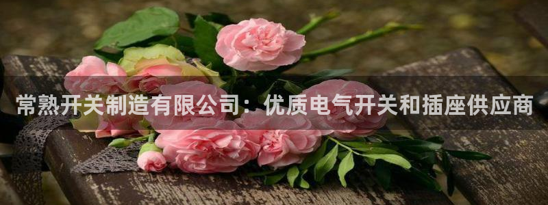 彩神v8iii：常熟开关制造有限公司：优质电气开关和插座供应