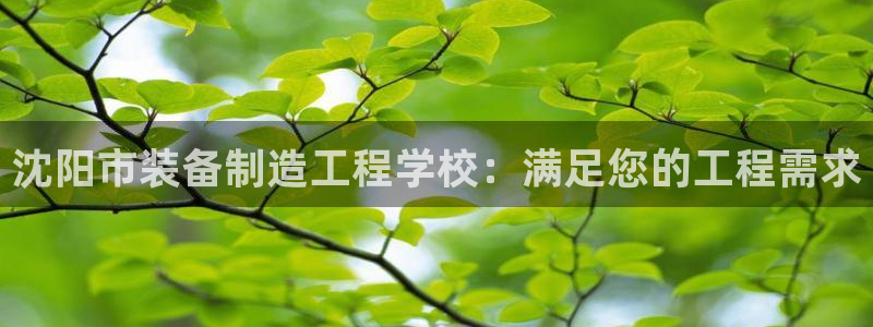 彩神ll能赚钱吗：沈阳市装备制造工程学校：满足您的工程需求