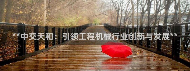 彩神v网赌软件下载：**中交天和：引领工程机械行业创新与发展**