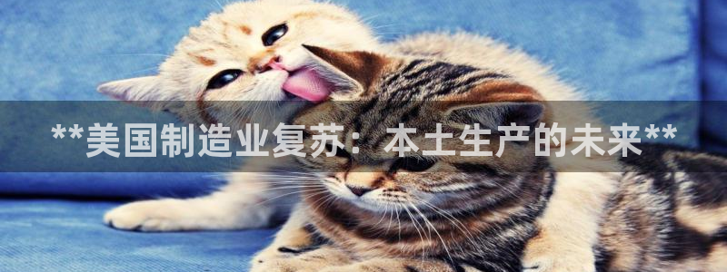 彩神争霸官方下载2017：**美国制造业复苏：本土生产的未来
