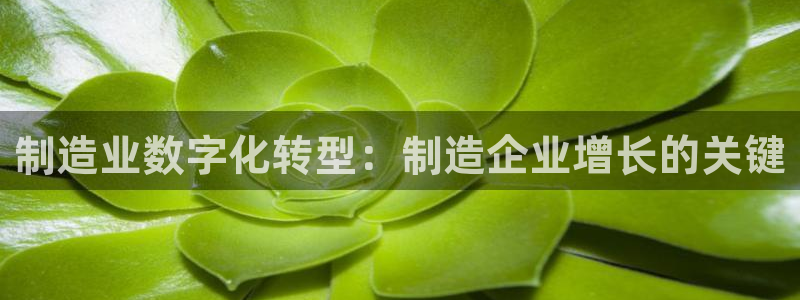 彩神旗下有哪些平台：制造业数字化转型：制造企业增长的关键