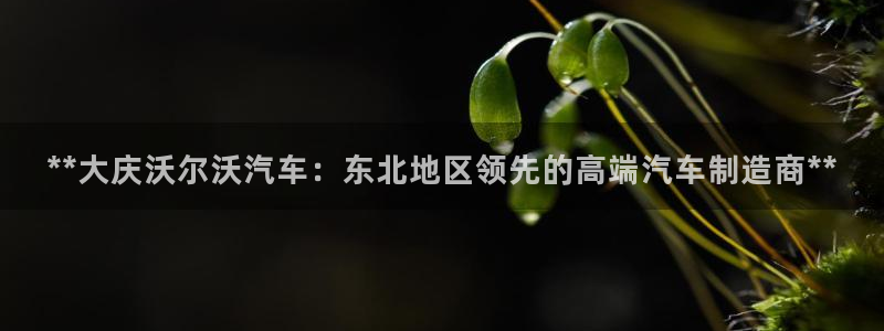 新版彩神v8登录不上去：**大庆沃尔沃汽车：东北地区领先的高端汽车制造商**