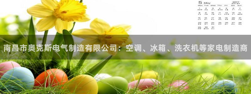 彩神网官网登录：南昌市奥克斯电气制造有限公司：空调、冰箱、洗衣机等家电制造商