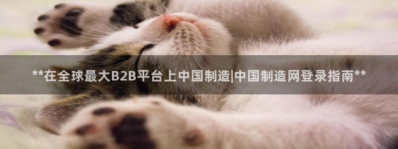 彩神vl购彩大厅：**在全球最大B2B平台上中国制造|中国制造网登录指南**