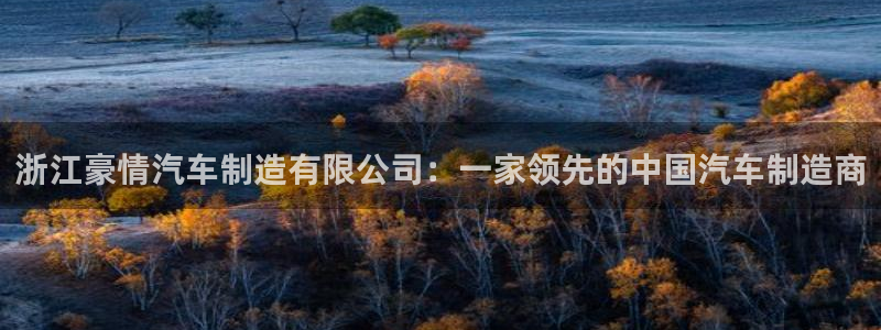 彩神购彩-购彩大厅入口36fr：浙江豪情汽车制造有限公司：一