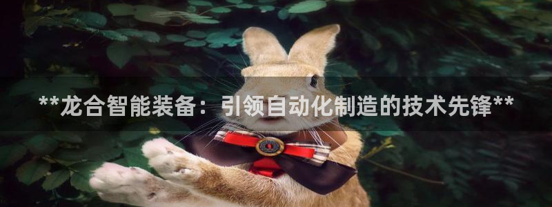 大发彩神争：**龙合智能装备：引领自动化制造的技术先锋**