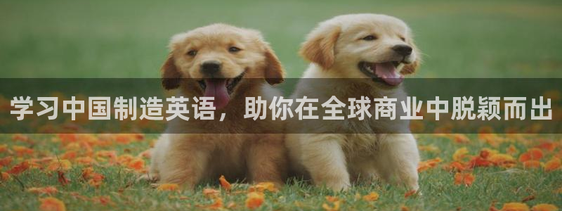 所有彩神购买首页都一样吗：学习中国制造英语，助你在全球商业中脱颖而出