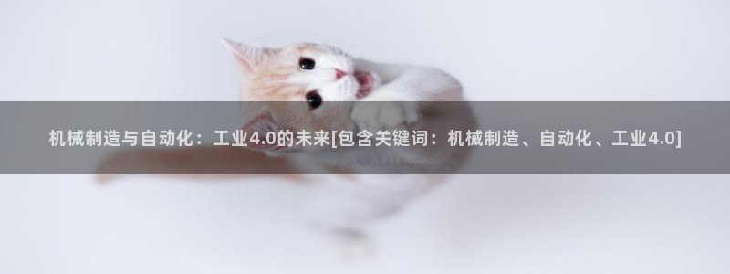 彩神ii官方网：机械制造与自动化：工业4.0的未来[包含关键词：机械制造、自动化、工业4.0]