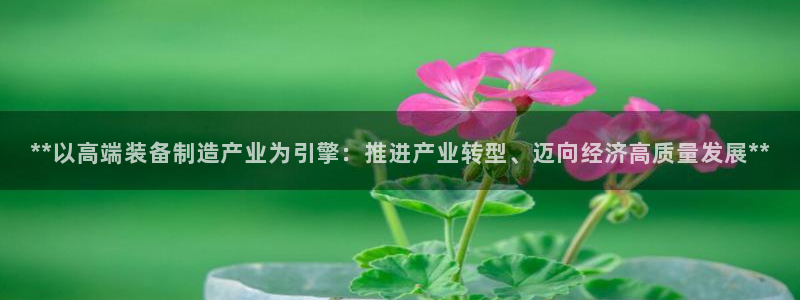彩神v8下载网址：**以高端装备制造产业为引擎：推进产业转型