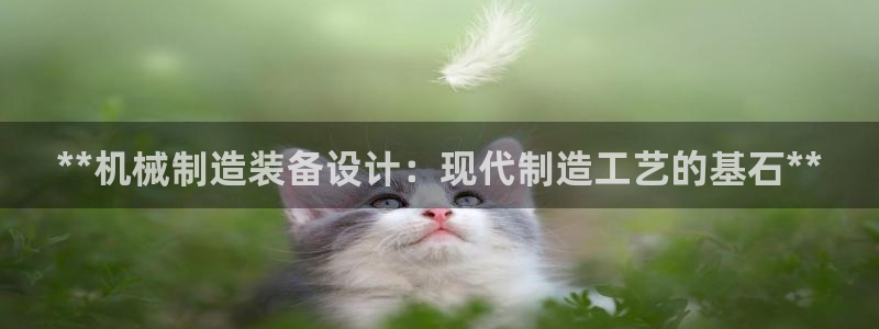 彩神大发是不是人为操作：**机械制造装备设计：现代制造工艺的基石**