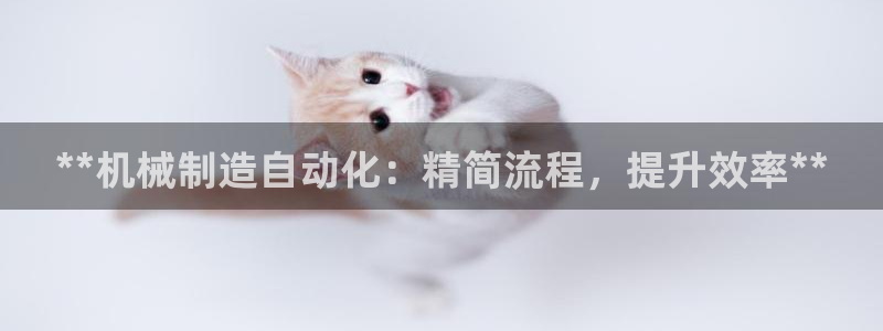 下载彩神v8：**机械制造自动化：精简流程，提升效率**